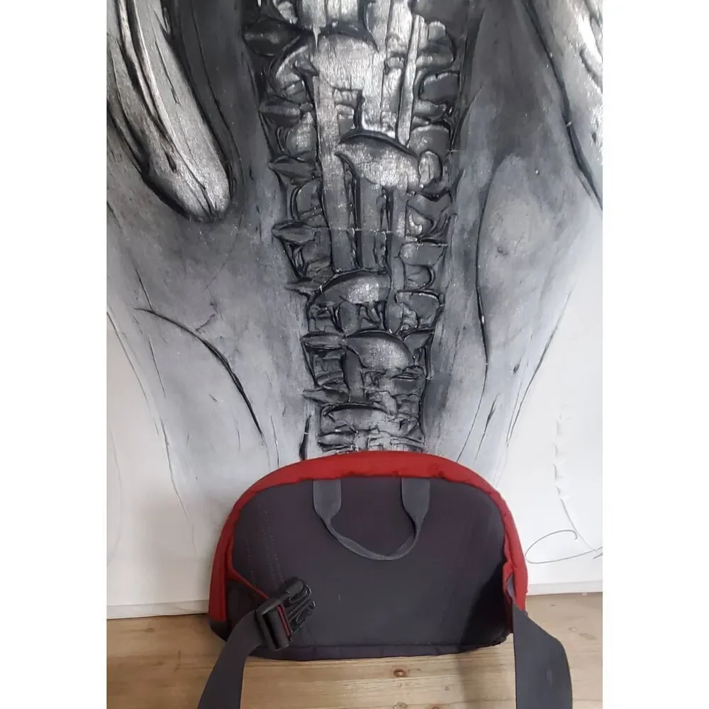 The North Face unisex canvas